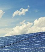 Ecology Scoping in the Survey Guidelines